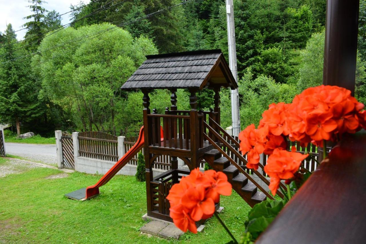 Cabana Cascada Cailor 호텔 Borşa 외부 사진