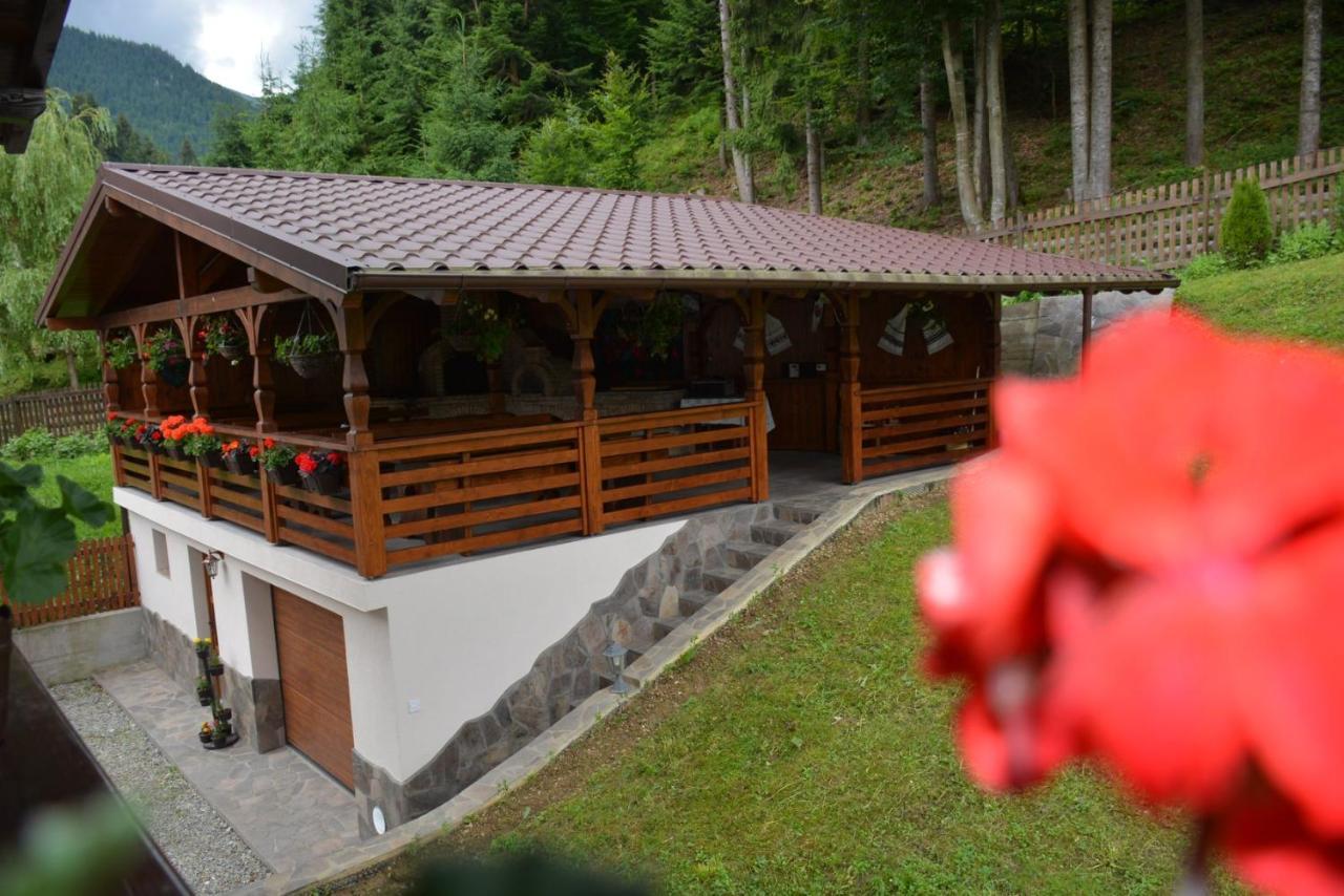 Cabana Cascada Cailor 호텔 Borşa 외부 사진