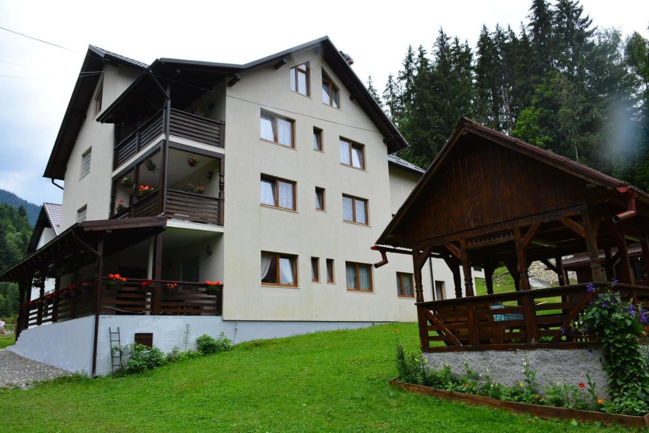 Cabana Cascada Cailor 호텔 Borşa 외부 사진