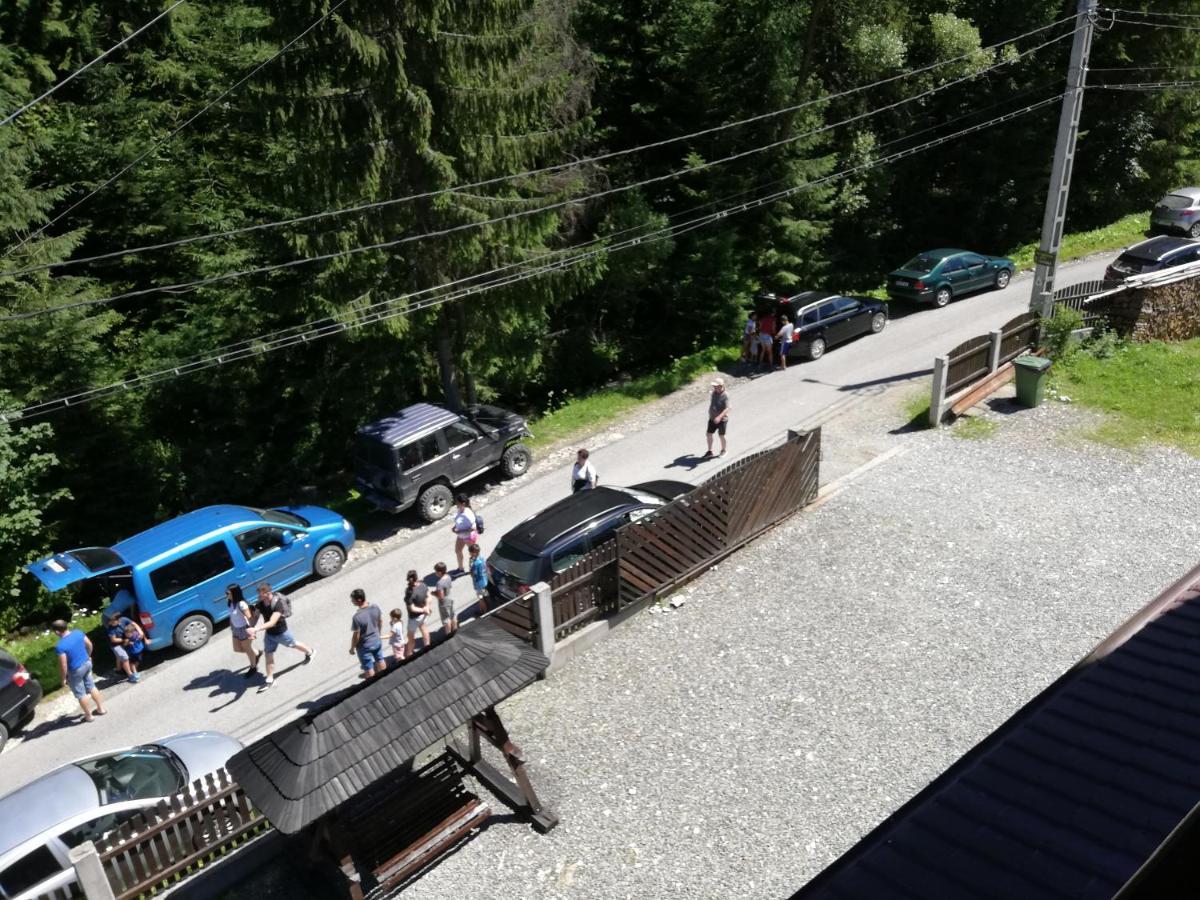 Cabana Cascada Cailor 호텔 Borşa 외부 사진