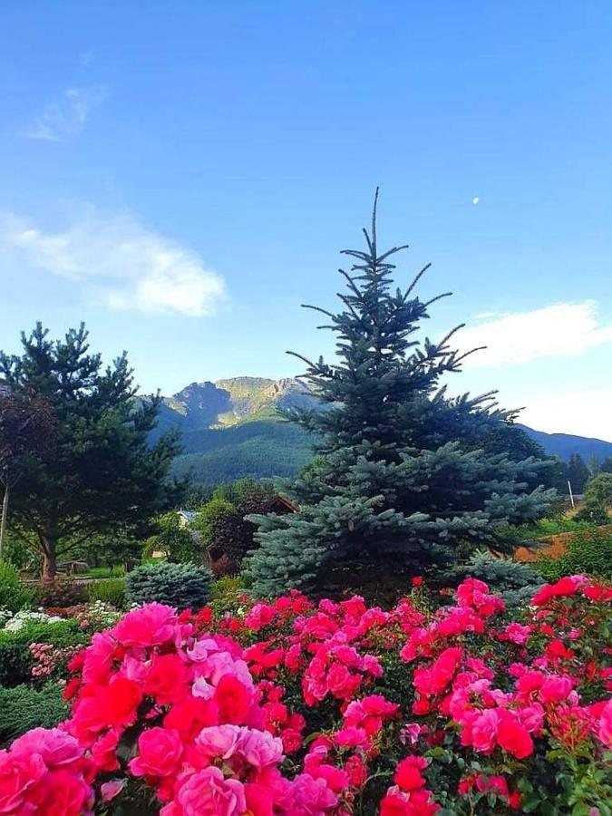 Cabana Cascada Cailor 호텔 Borşa 외부 사진