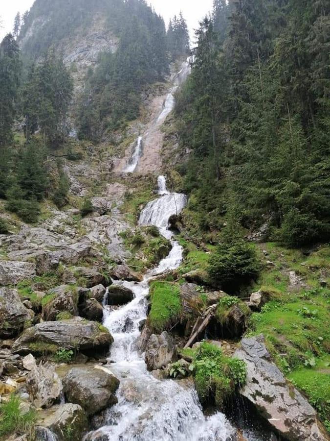 Cabana Cascada Cailor 호텔 Borşa 외부 사진