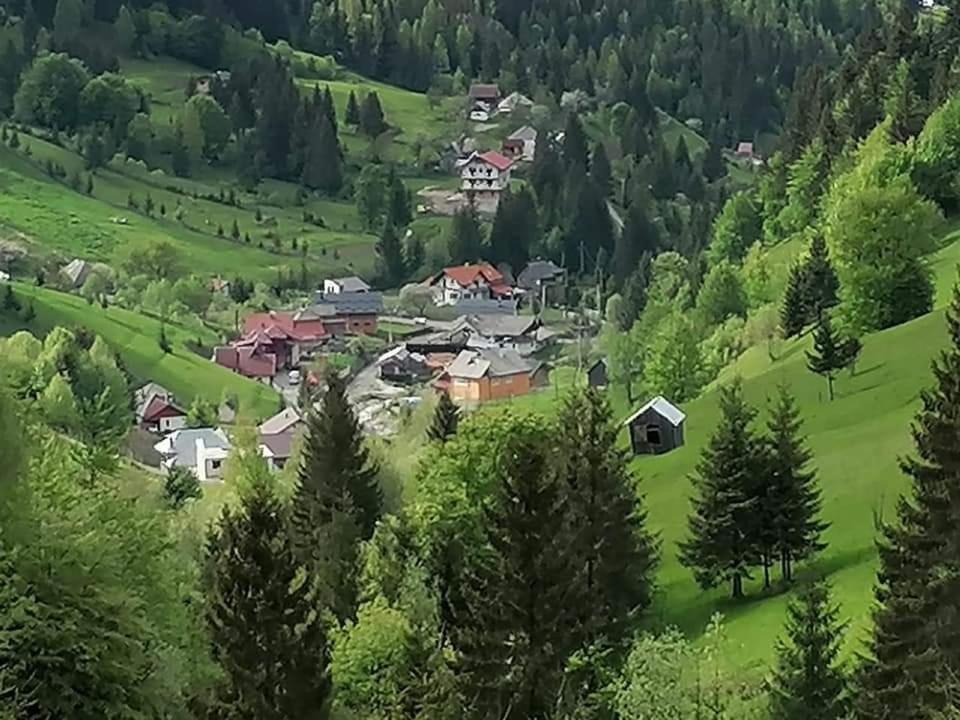 Cabana Cascada Cailor 호텔 Borşa 외부 사진