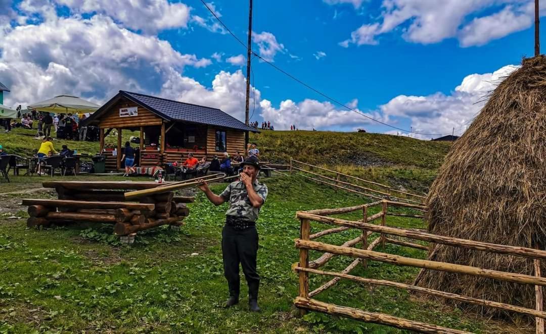 Cabana Cascada Cailor 호텔 Borşa 외부 사진