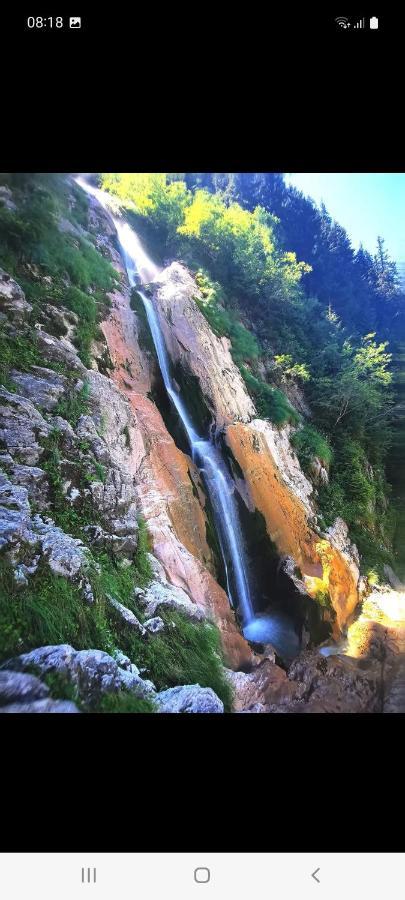 Cabana Cascada Cailor 호텔 Borşa 외부 사진